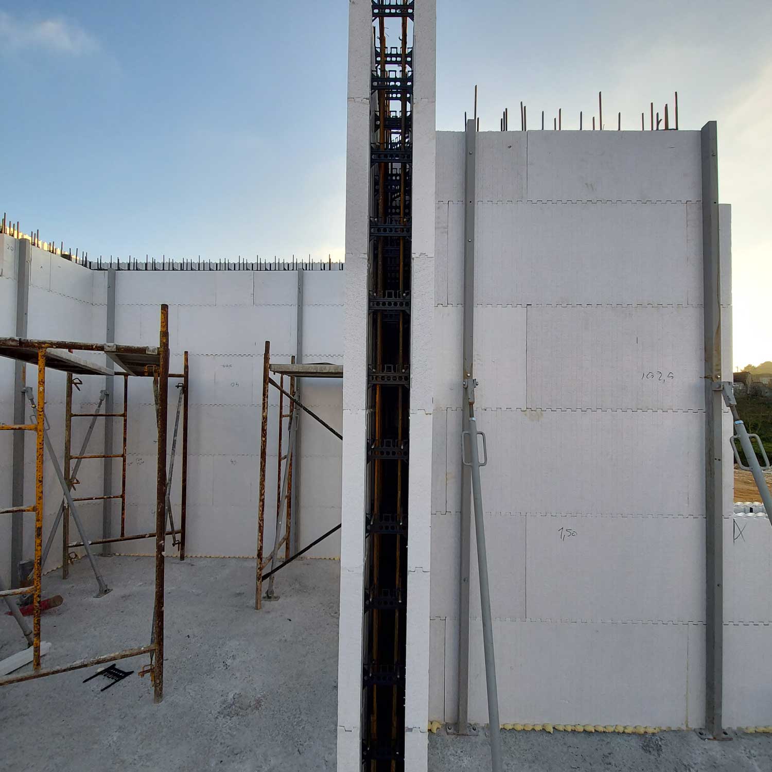 icf1